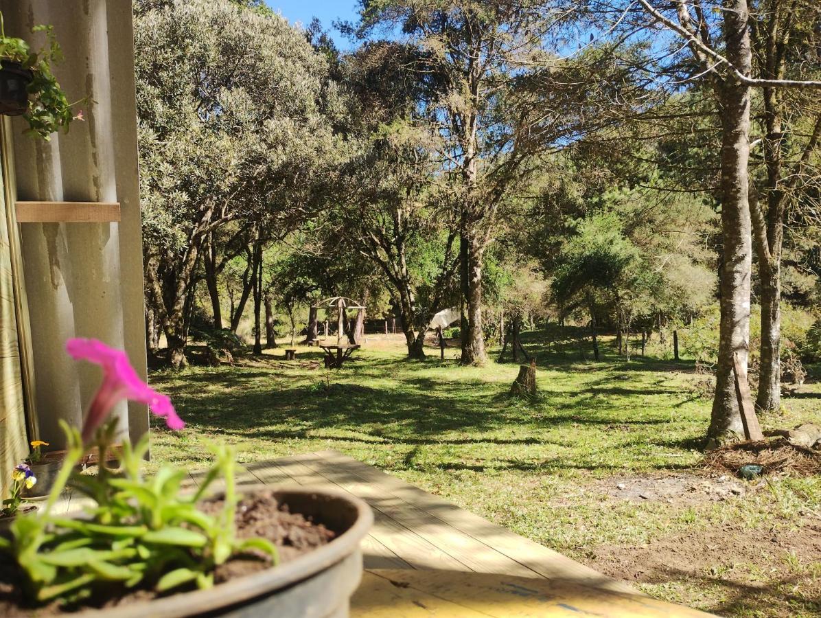 הוילה סאו בנטו דו ספוקאי Sitio Flor Da Montanha מראה חיצוני תמונה